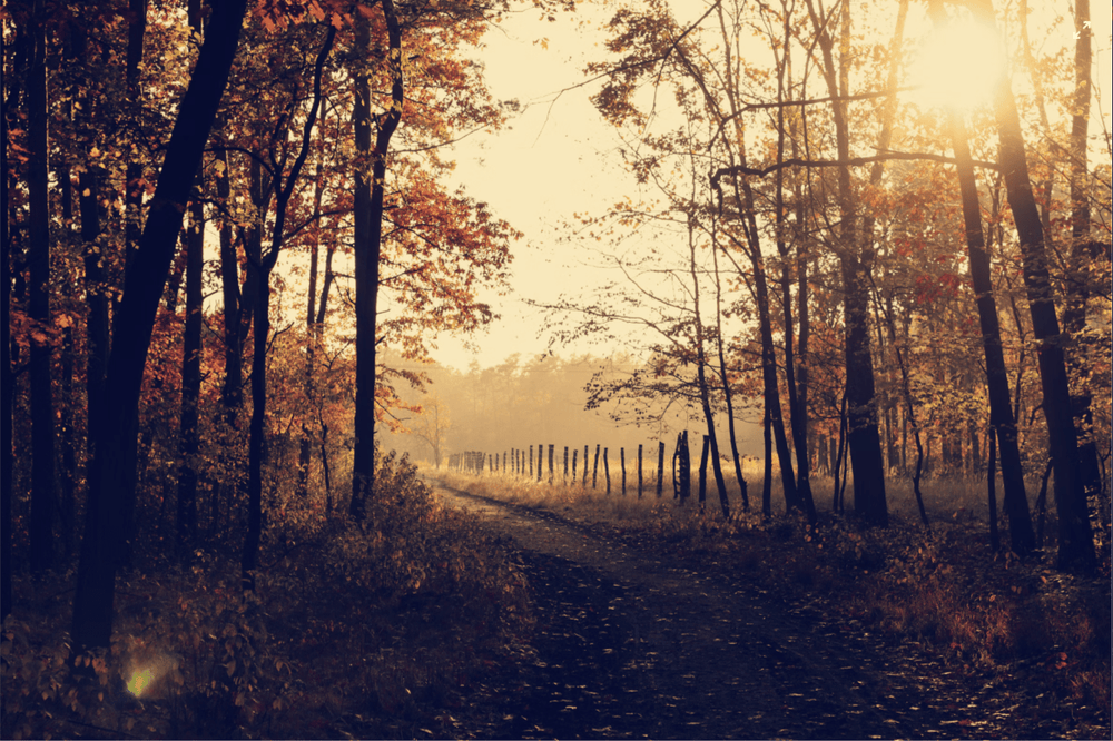 Church Fall Kickoff Sunday Ideas: Themes, Events & Graphics - Local Church Media