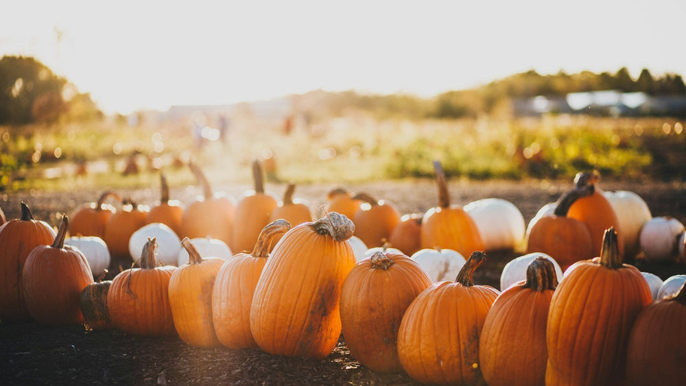 Church Trunk or Treat Ideas: Themes, Planning & Graphics - Local Church Media
