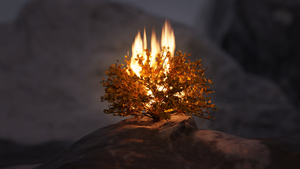 Baptized by Fire