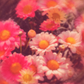 Mother’s Day – A Legacy Worth Honoring