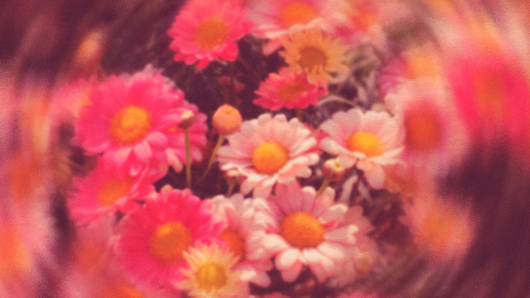 Mother’s Day – A Legacy Worth Honoring