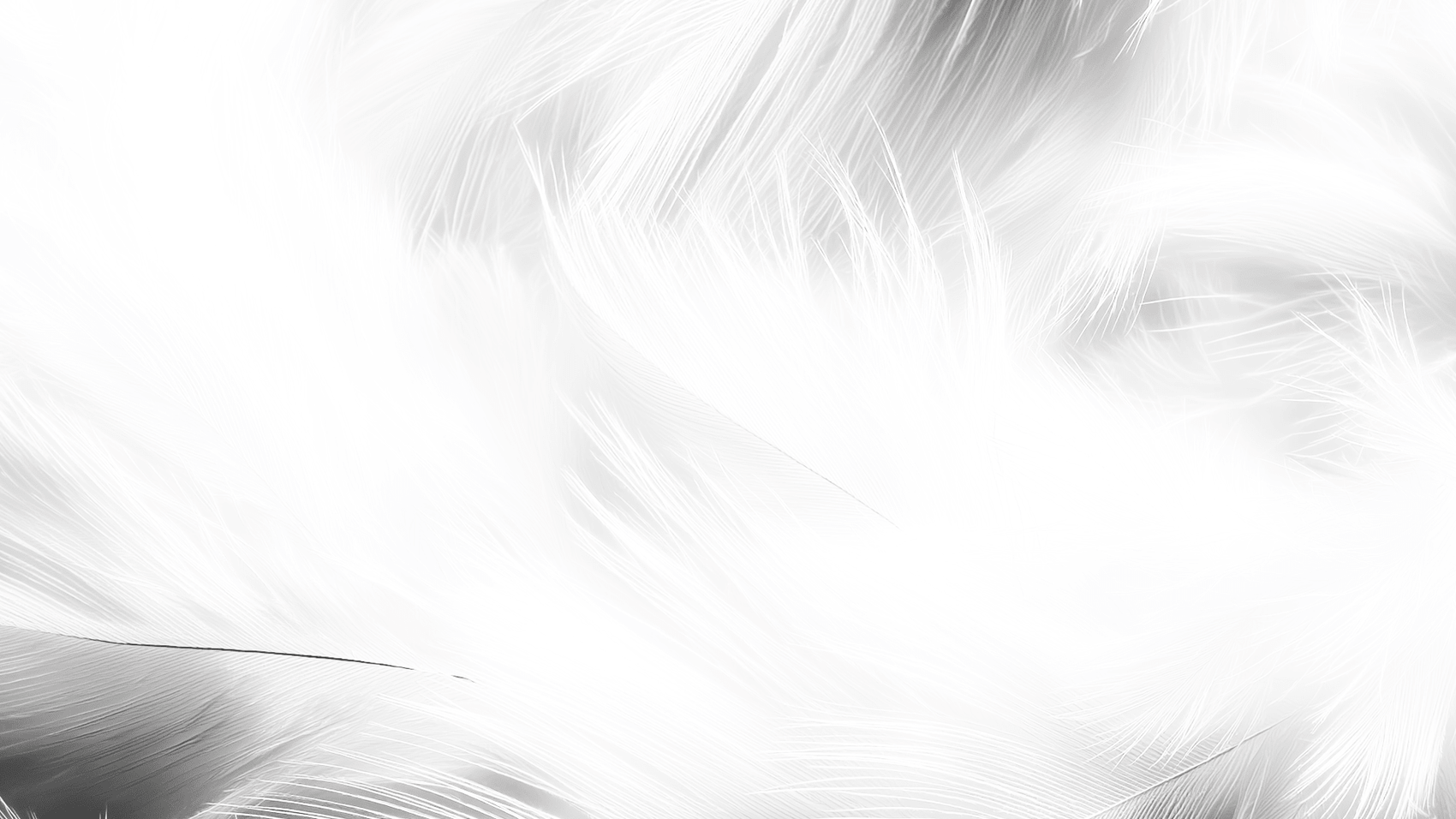 Abstract Texture pack - Local Church Media