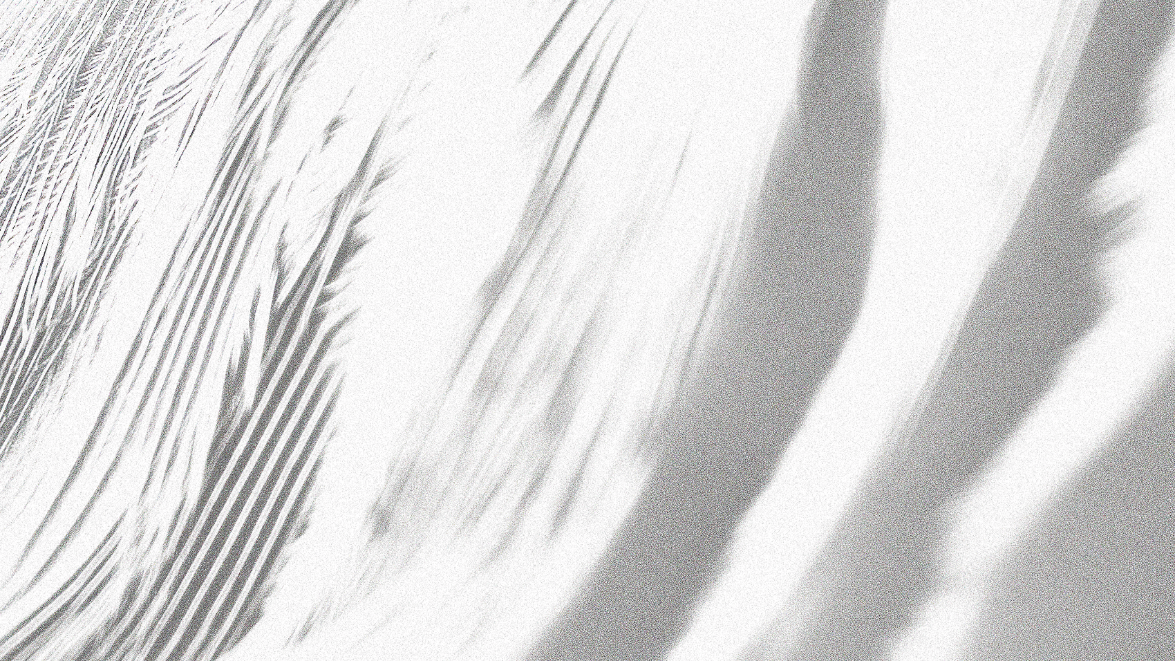 Abstract Texture pack - Local Church Media