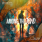 Among The Crowd - Local Church Media