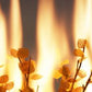 Baptized by Fire - Local Church Media