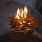 Baptized by Fire - Local Church Media