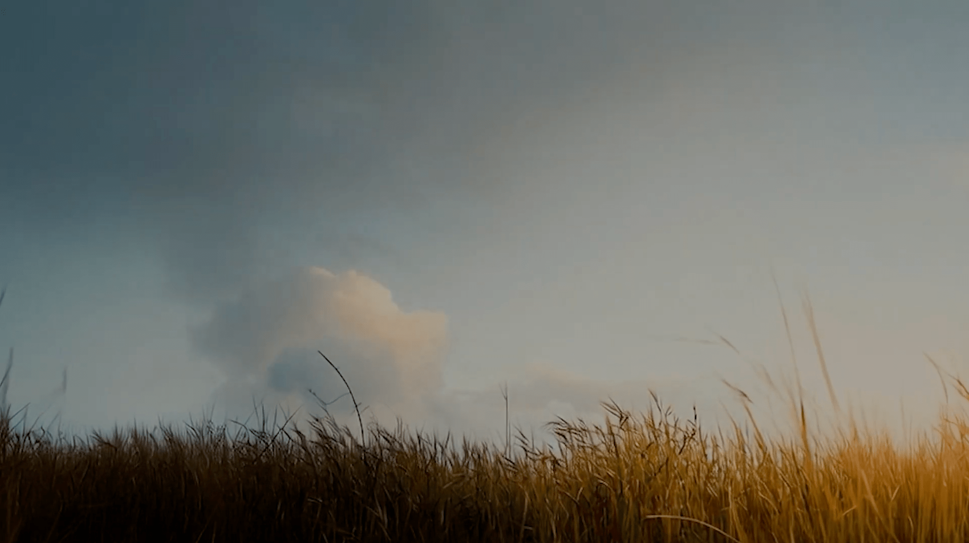 Field of Glory Background - Local Church Media