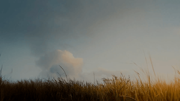Field of Glory Background - Local Church Media