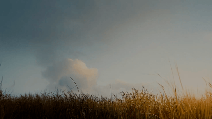 Field of Glory Background - Local Church Media