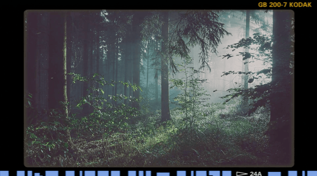 Film in the Forest Background - Local Church Media