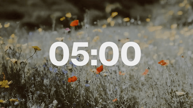 Flowers in the field Countdown - Local Church Media