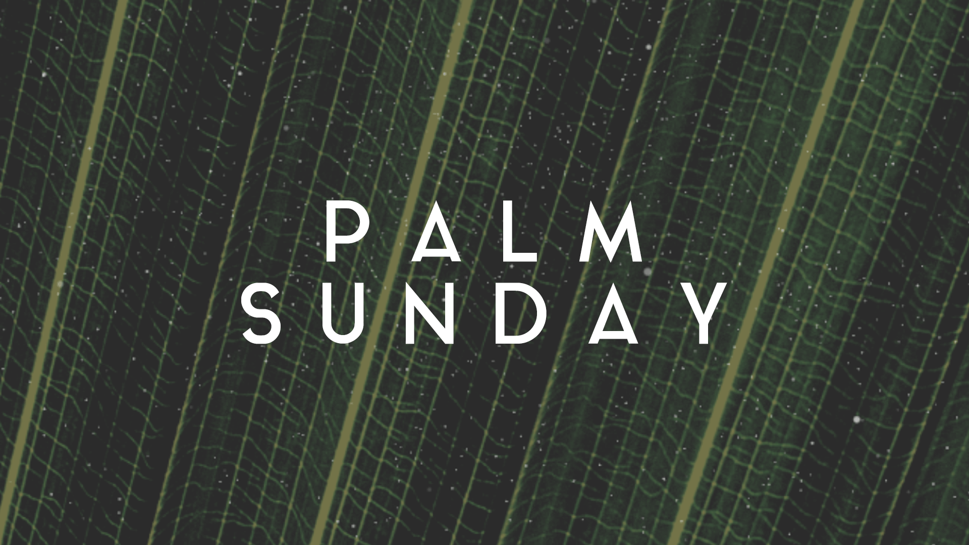 Is Faith Enough - Local Church Media