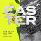 Lily and Ashes – Easter Sermon Series Package - Local Church Media