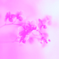 Mother’s Day – A Love That Reflects God’s Heart - Local Church Media