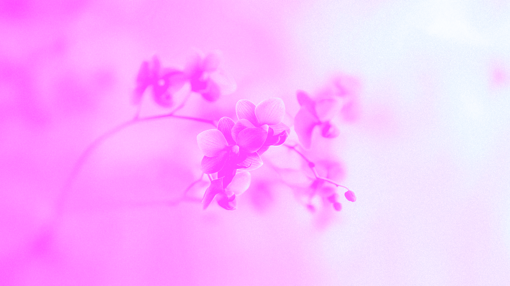 Mother’s Day – A Love That Reflects God’s Heart - Local Church Media
