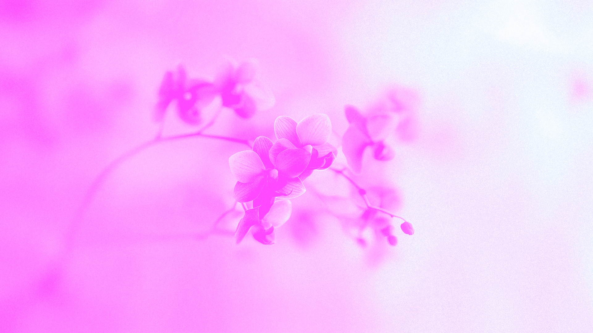 Mother’s Day – A Love That Reflects God’s Heart - Local Church Media