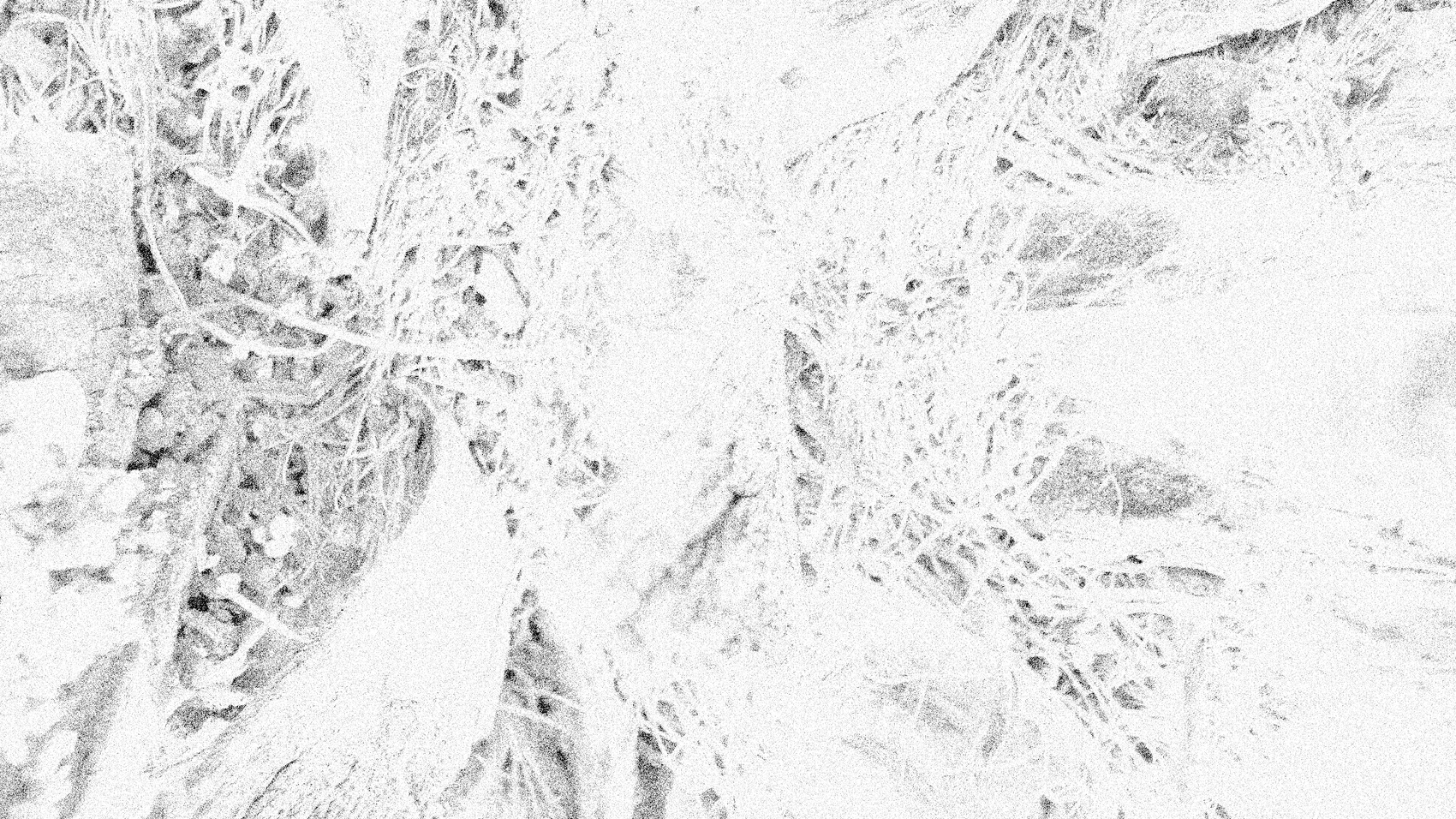 Natural Grit - Texture Pack - Local Church Media