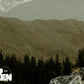 Not Shaken - Standing Firm When Everything Feels Uncertain - Local Church Media