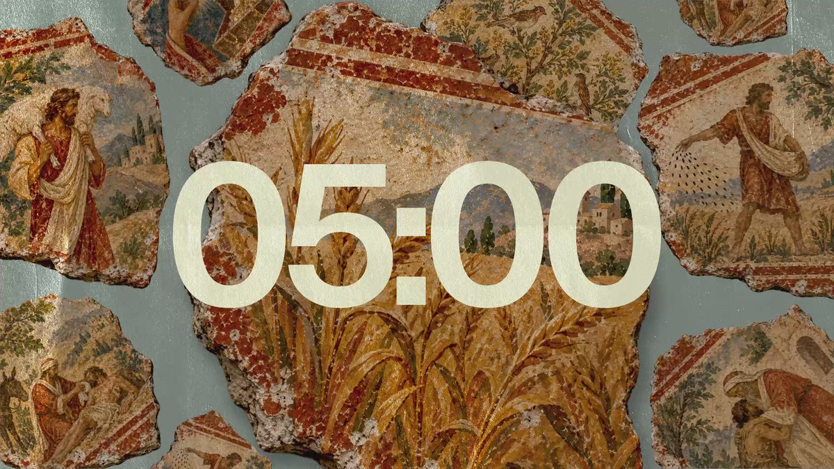 The Vessel - Countdown