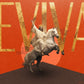 Revival - Local Church Media