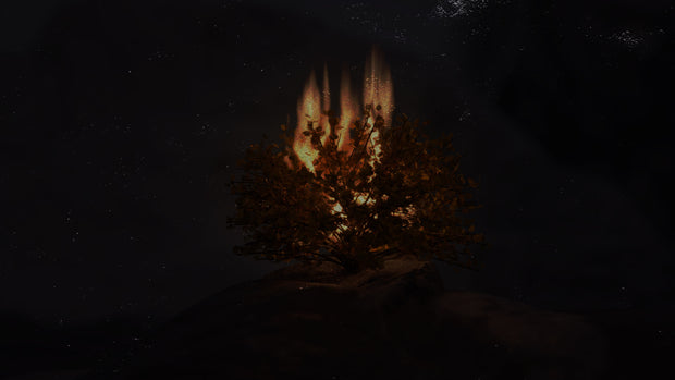 Baptized by Fire