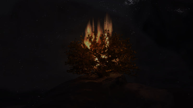 Baptized by Fire