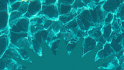 Soulful Revival - Feels Like Summer - Local Church Media