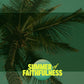 Summer of Steadfast Trust - Local Church Media