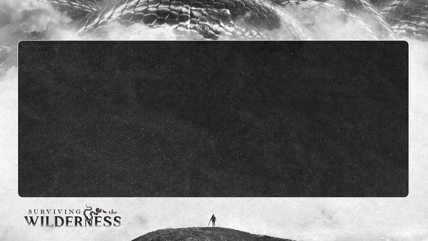 Surviving the Wilderness - Local Church Media