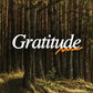 Wild Gratitude - Local Church Media