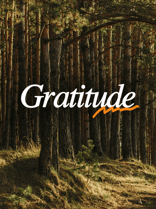 Wild Gratitude - Local Church Media