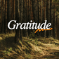 Wild Gratitude - Local Church Media