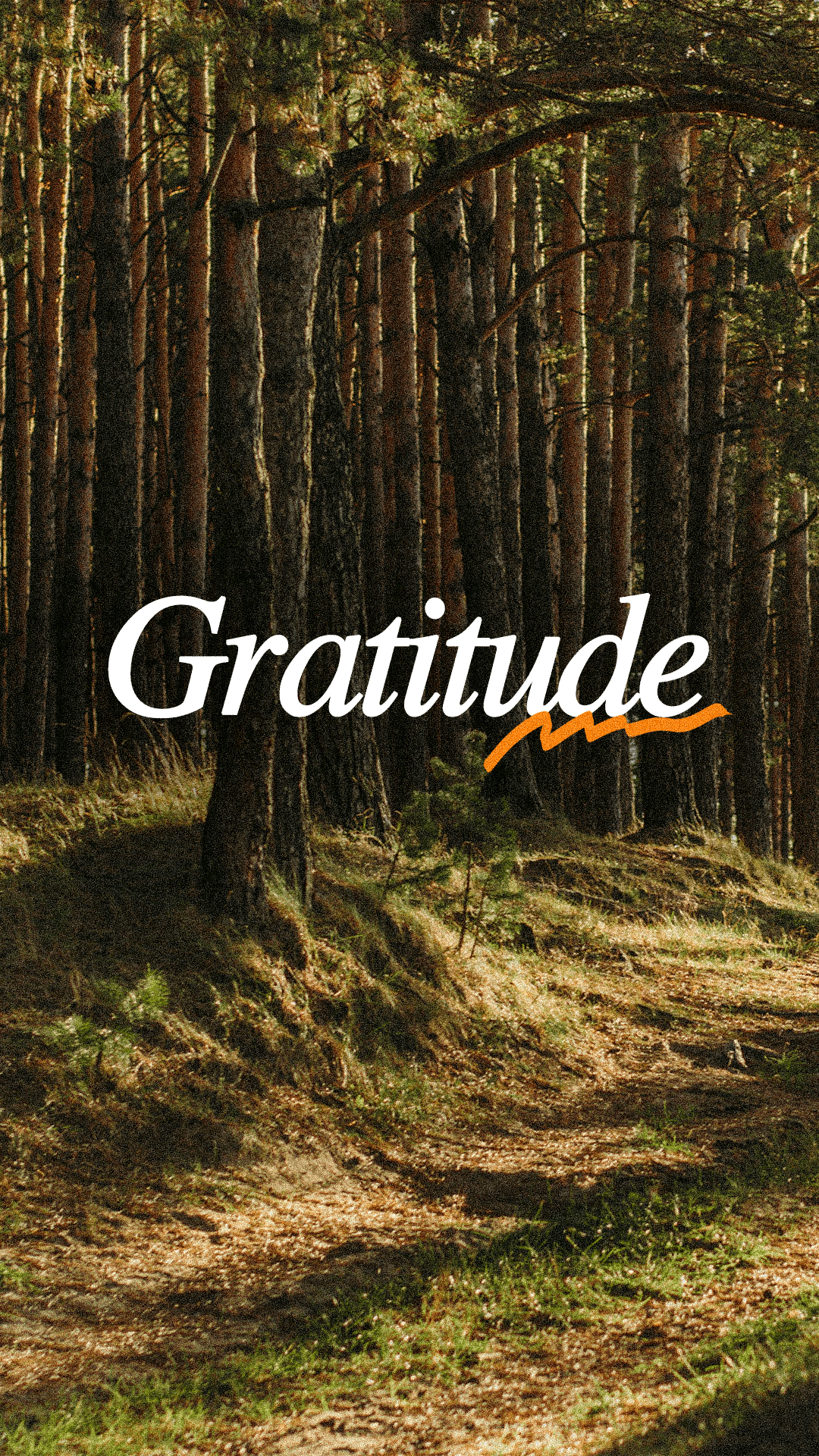 Wild Gratitude - Local Church Media