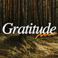 Wild Gratitude - Local Church Media
