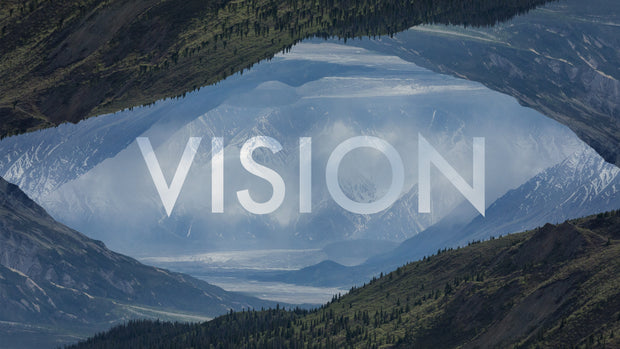 Vision