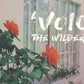 A Voice In The Wilderness - Local Church Media