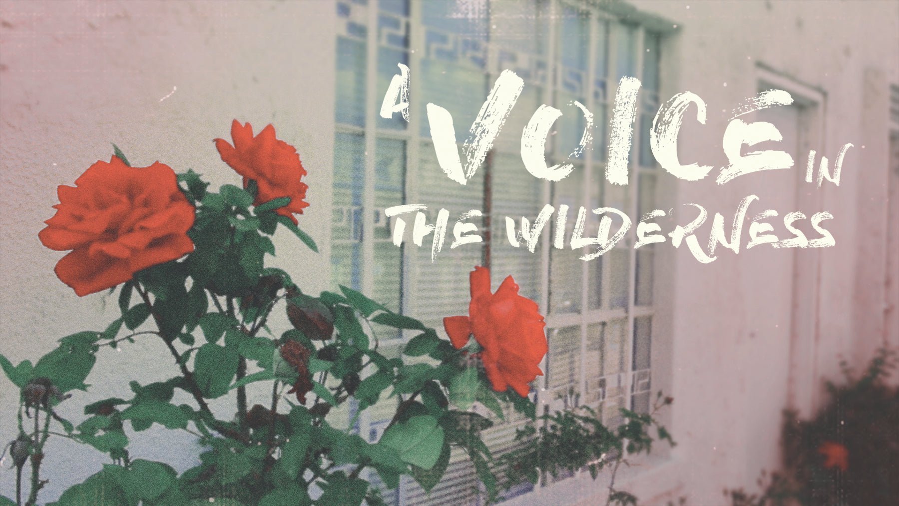 A Voice In The Wilderness - Local Church Media
