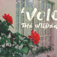 A Voice In The Wilderness - Local Church Media