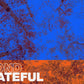 Beyond Grateful - Local Church Media