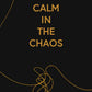 Calm In The Chaos Sermon Series - Local Church Media