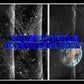 Know Gods Love, Join Gods Purpose - Local Church Media