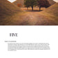 Renew My Soul 21 day Fasting & Prayer Journal - Local Church Media