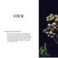 Renew My Soul 21 day Fasting & Prayer Journal - Local Church Media