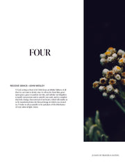 Renew My Soul 21 day Fasting & Prayer Journal - Local Church Media