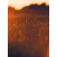 Renew My Soul 21 day Fasting & Prayer Journal - Local Church Media